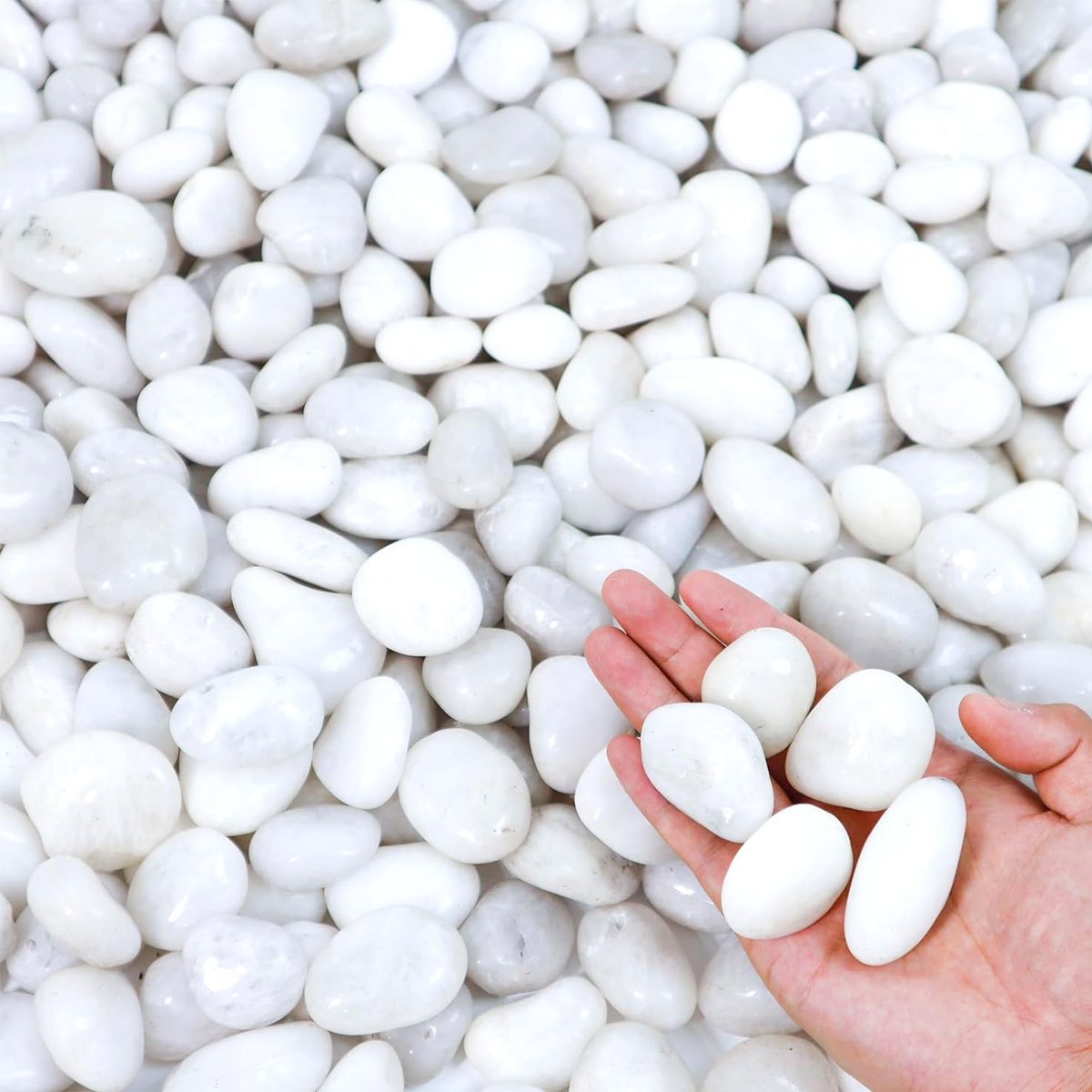 Aquarium Sand White - 400g White Polished Natural River Pebbles