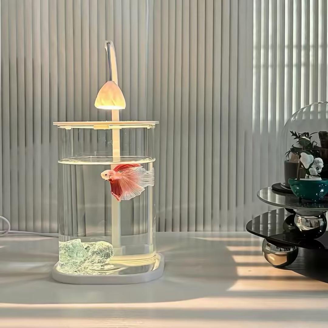 Planted Aquarium For Betta - 360° Panoramic Clear Desktop Fish Tank