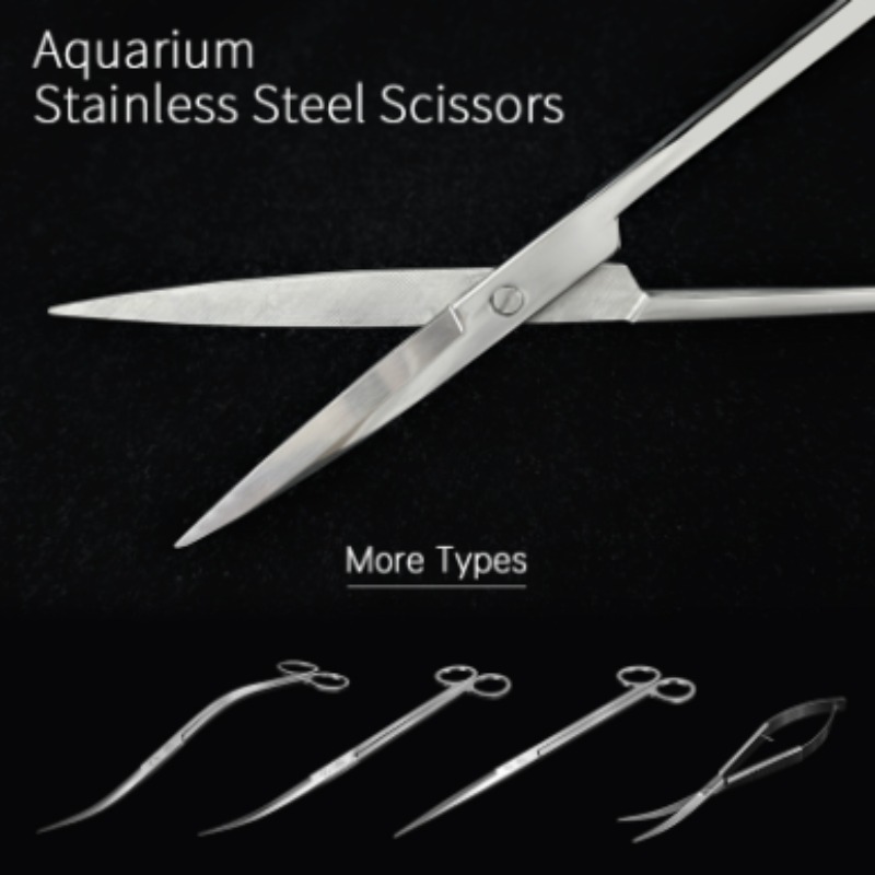 Aquarium Plant Iron - Week Aqua Stainless Steel Aquatic Plant