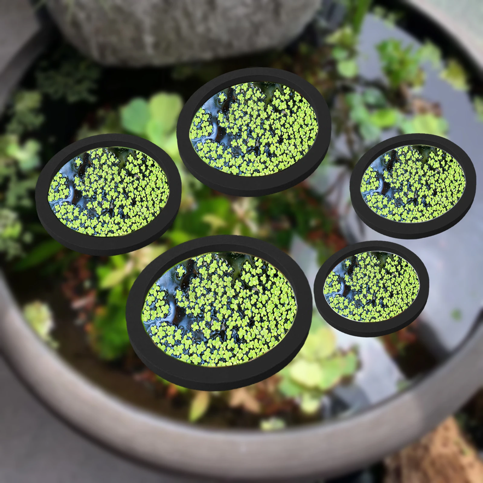 Aquarium Plant - 5Pcs EVA Fish Feeding Ring Aquarium