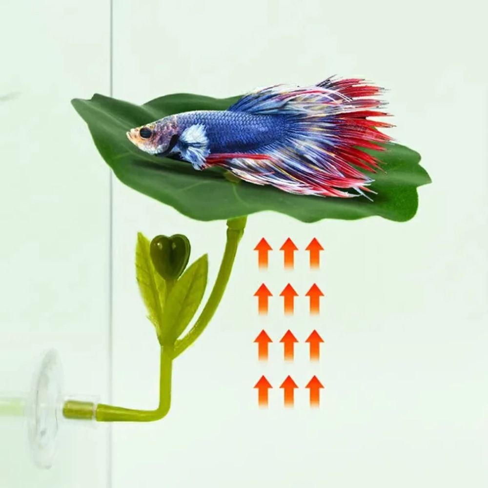 Planted Aquarium For Betta - 1PCS Green Leaf Betta Fish Hammock