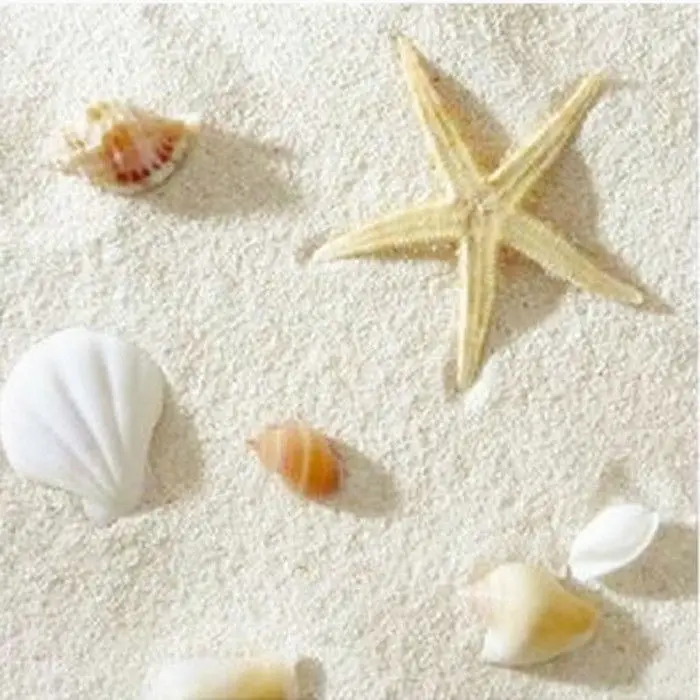 Aquarium Sand White - Naturelle Philippine Sand Coral Landscaping White