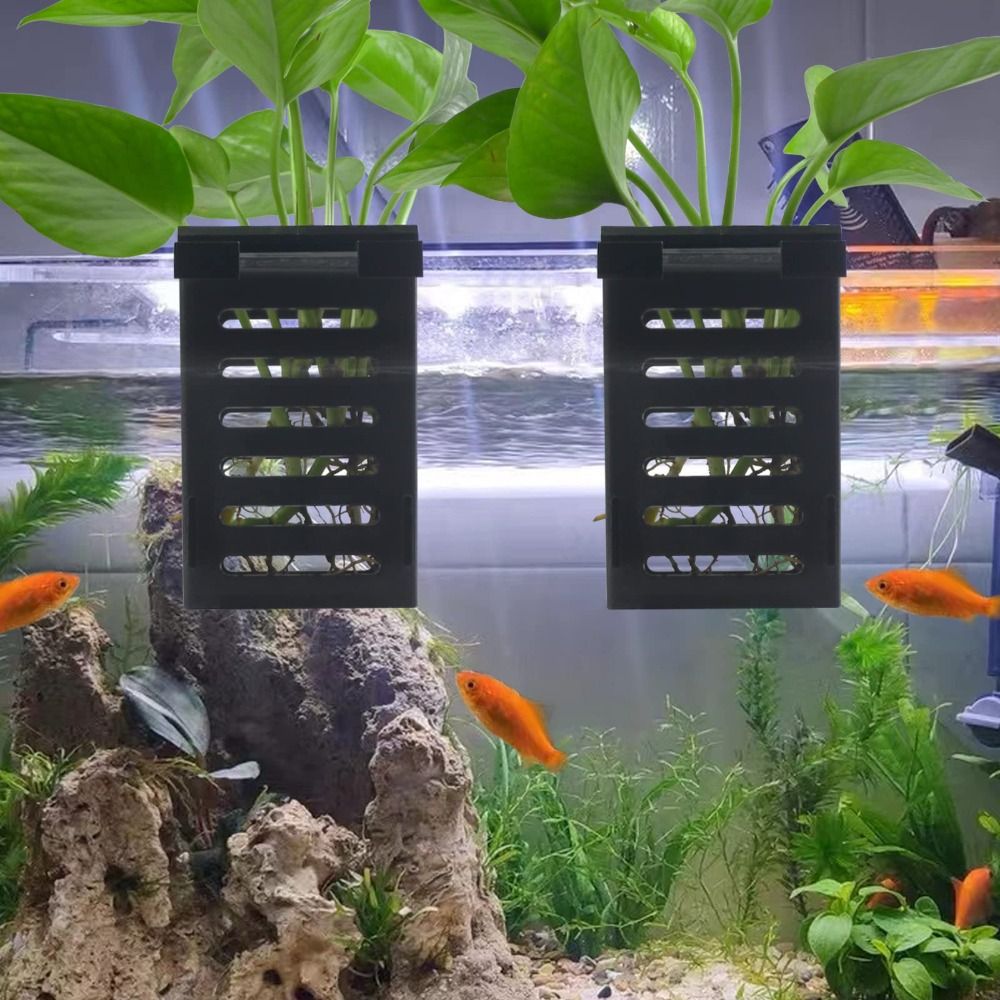 Water Plant Landscape Aquarium - Emersed Plants Aquarium recension och pris