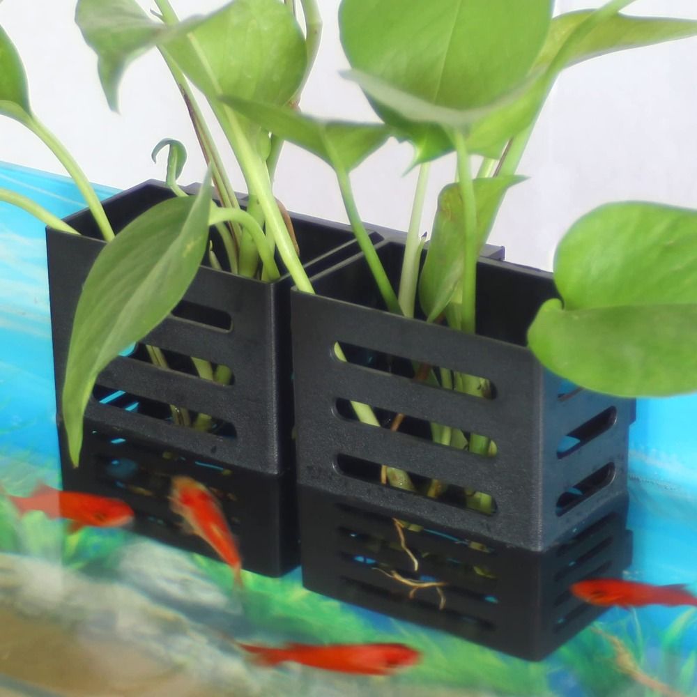 Water Plant Landscape Aquarium - Emersed Plants Aquarium recension och pris