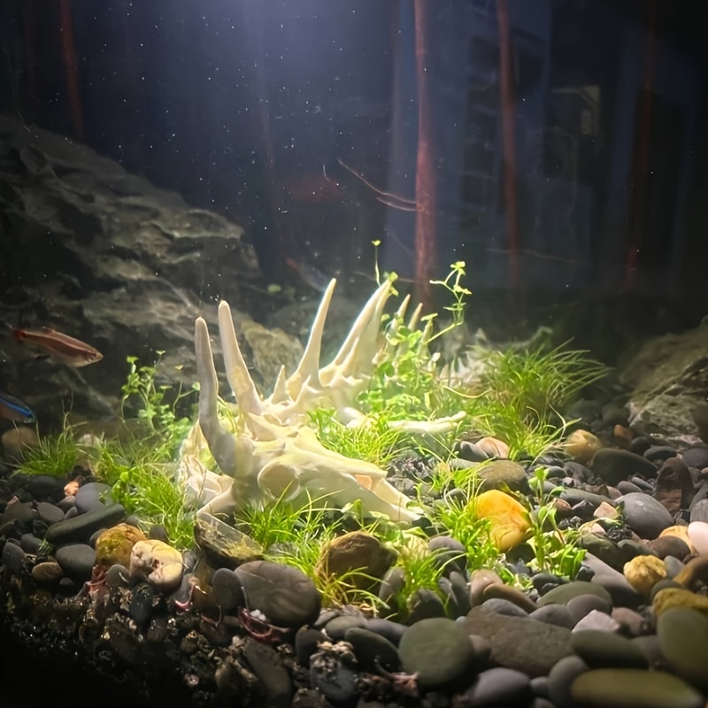 1pc Dragon-Shaped Fishbone Dec - Aquarium Plant Root Tabs recension och pris