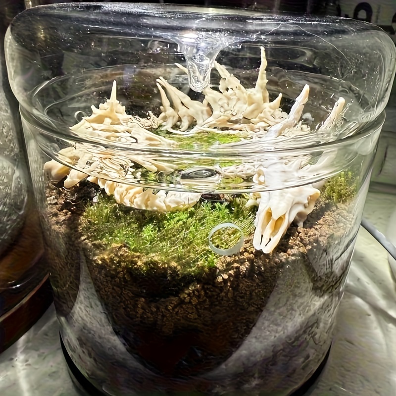 1pc Dragon-Shaped Fishbone Dec - Aquarium Plant Root Tabs recension och pris