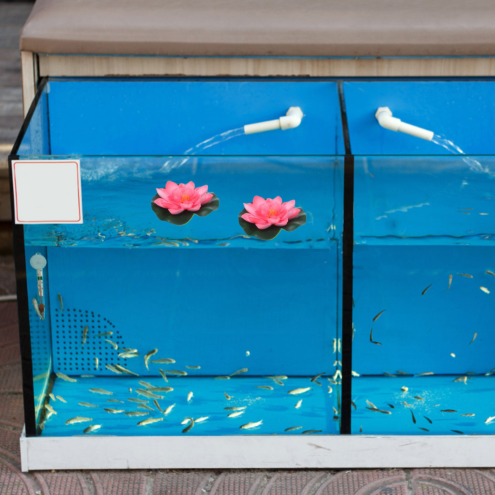 12Pcs Artificial Floating Wate - Aquarium Planted recension och pris