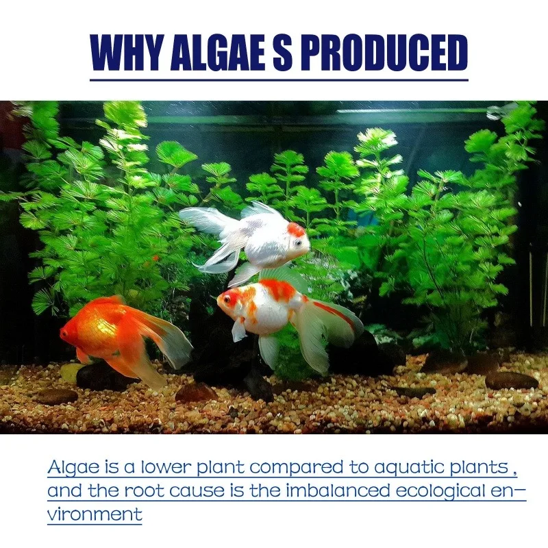 50g High Efficiency Algaecide  - Aquarium Planted recension och pris