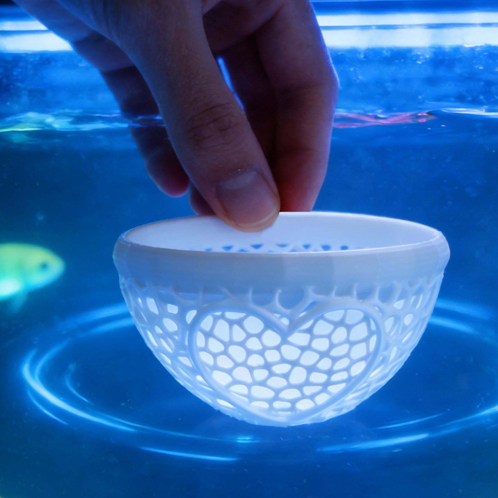 Floating betta shelter Betta h - Planted Aquarium For Betta recension och pris