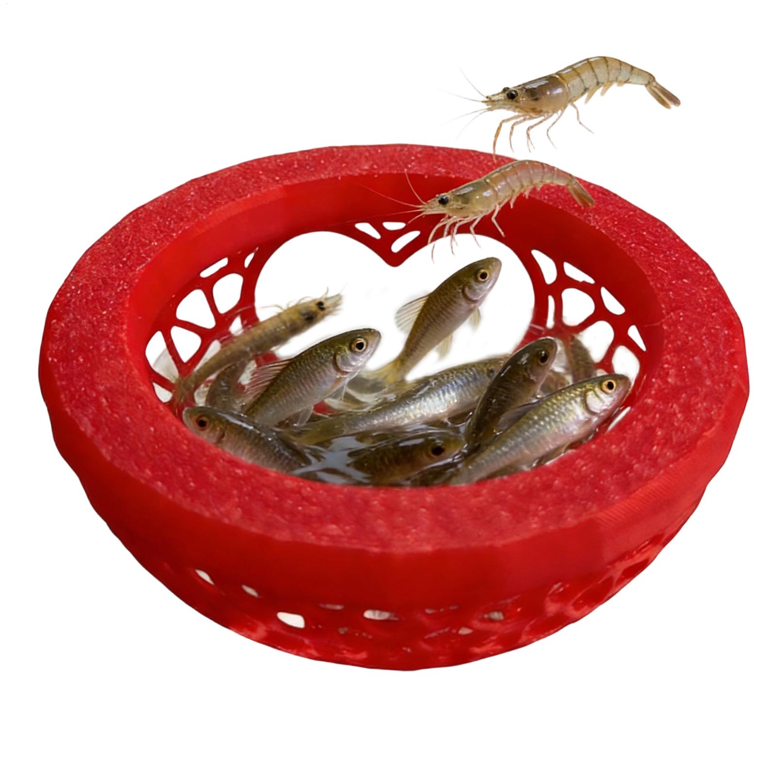 Floating betta shelter Betta h - Planted Aquarium For Betta recension och pris