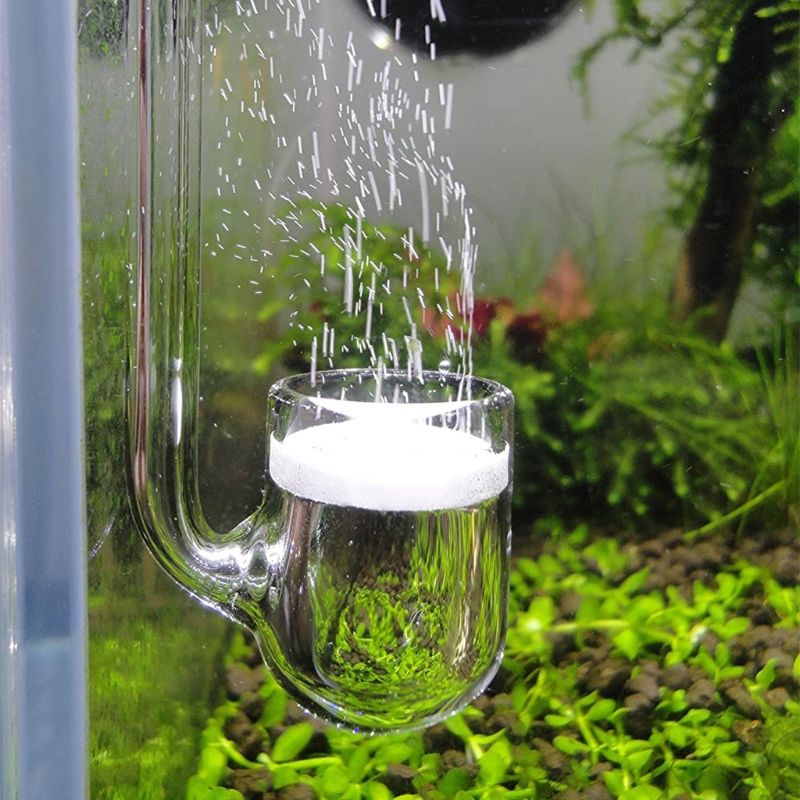 D0AD Glass CO2 Diffuser for Aq - Aquarium Plant Design recension och pris