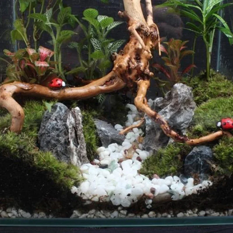Natural Tree Trunk Driftwood A - Aquarium Plant Root Tabs recension och pris