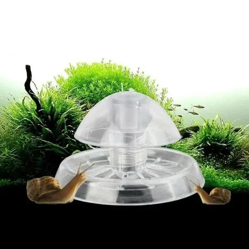2026 New 6/8CM Clear Plastic S - Aquarium Planted recension och pris