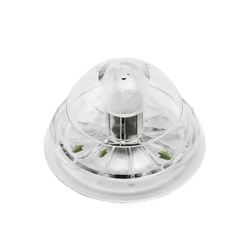 2026 New 6/8CM Clear Plastic S - Aquarium Planted recension och pris