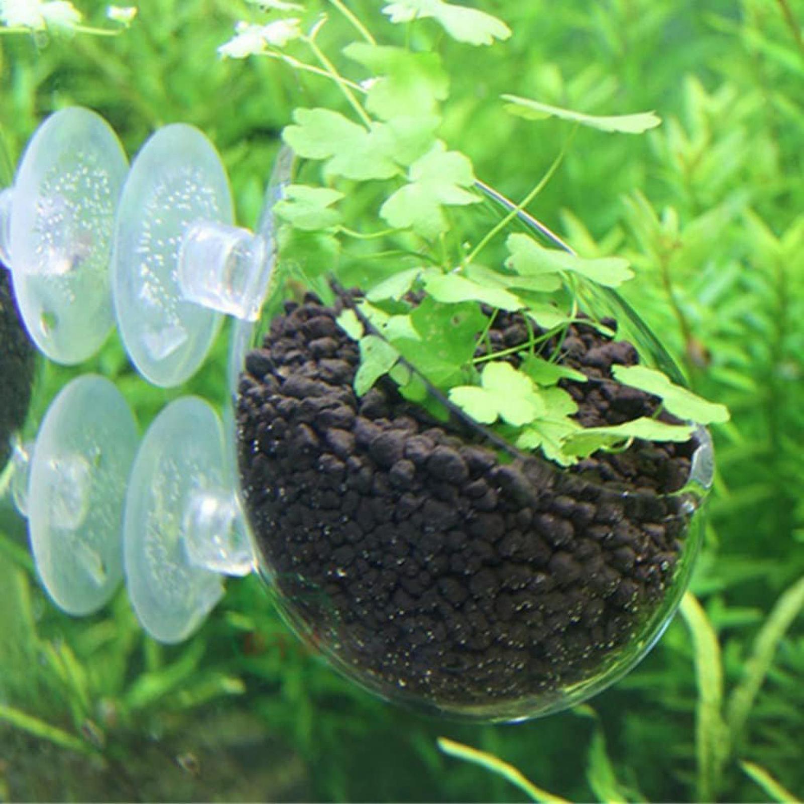 Aquarium Plant Holder Glass Aq - Aquarium Plant Vine recension och pris