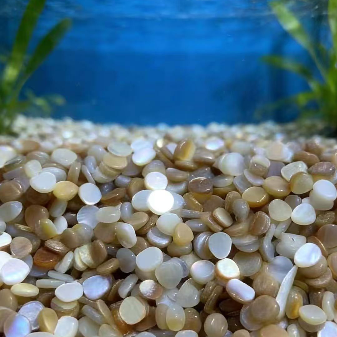 50pcs 4-7mm Not Drilled Natura - Aquarium Sand White recension och pris