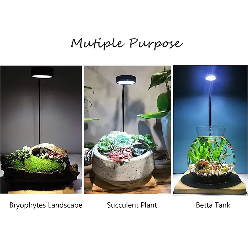 Full Spectrum LED Light with B - Planted Aquarium For Betta recension och pris