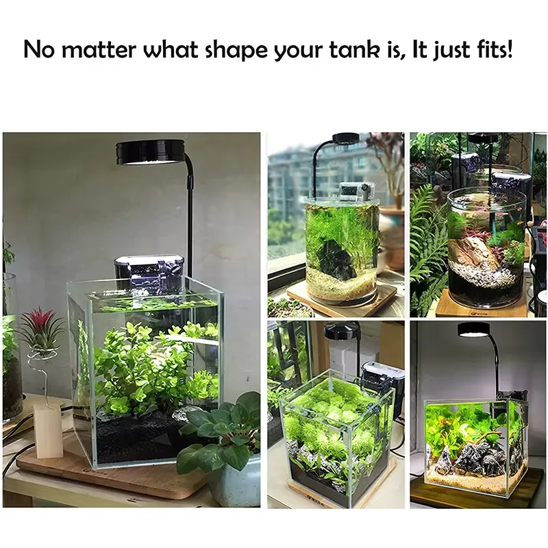 Full Spectrum LED Light with B - Planted Aquarium For Betta recension och pris