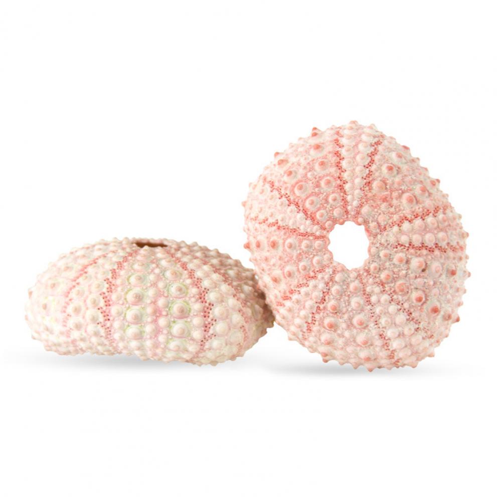 5cm-6cm Sea Shell Conch Orname - Planted Aquarium Air Stone recension och pris