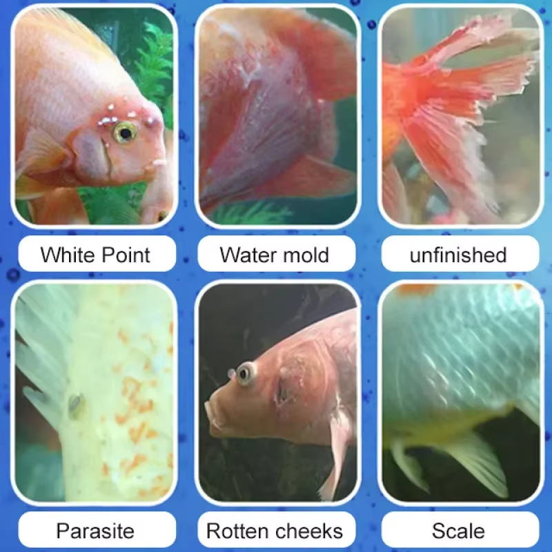 SIKEZHAN Fish Disease Treatmen - Aquarium Plant Root Tabs recension och pris