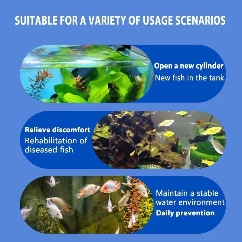 SIKEZHAN Fish Disease Treatmen - Aquarium Plant Root Tabs recension och pris