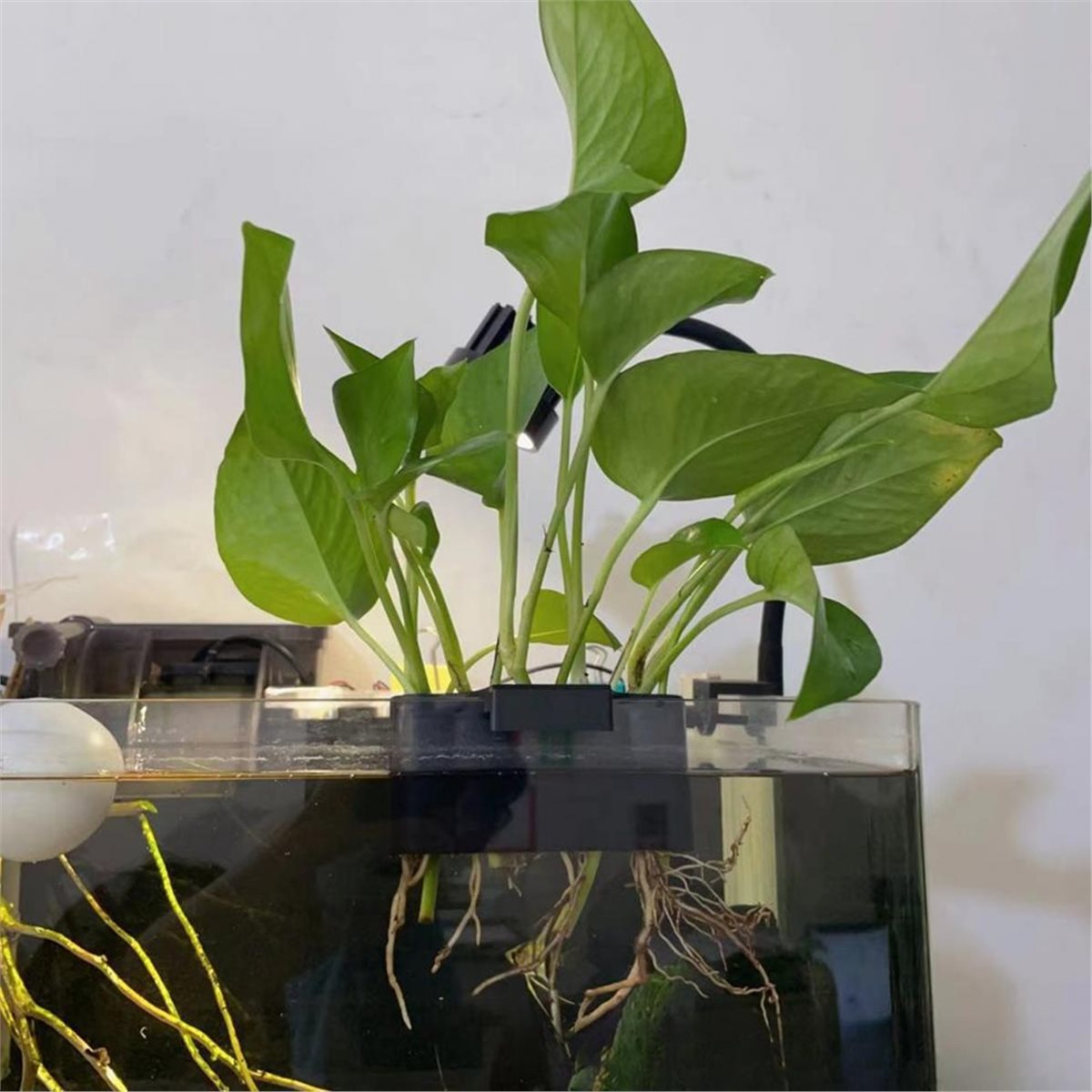 (ABAB) Aquarium Plant Holder A - Emersed Plants Aquarium recension och pris