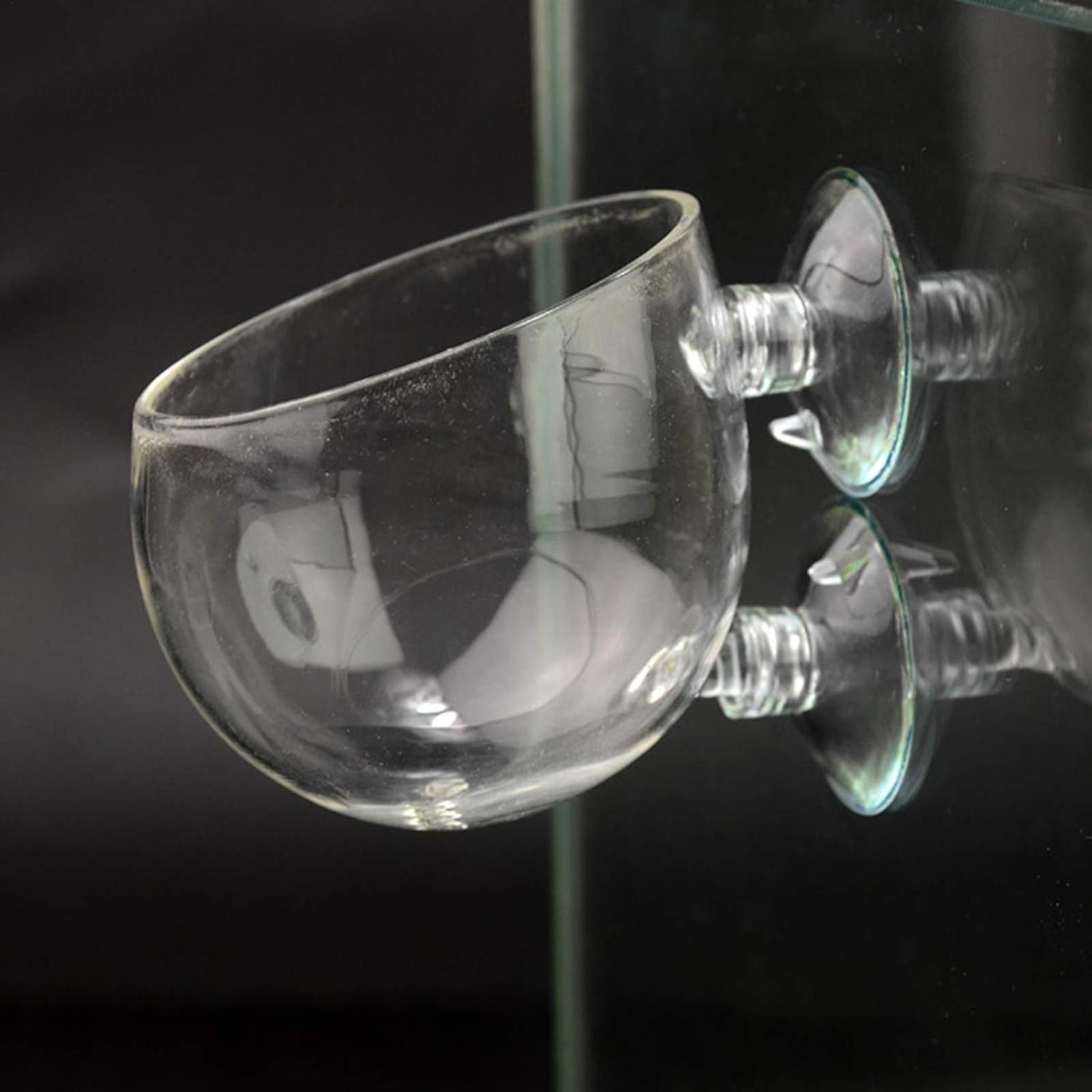 Aquarium Glass Plant Pot with  - Aquarium Plant Vine recension och pris