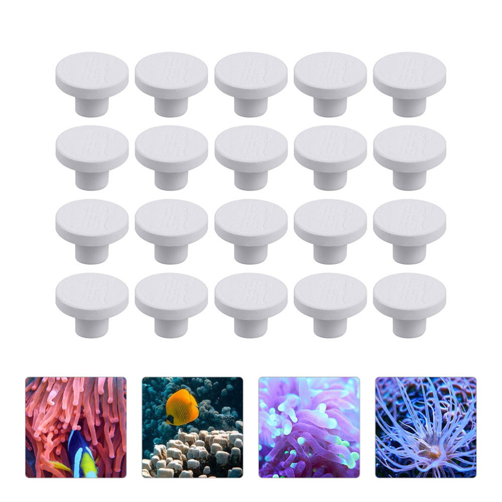 SPS Ceramic Coral Frag Plugs B - Aquarium Plant Design recension och pris