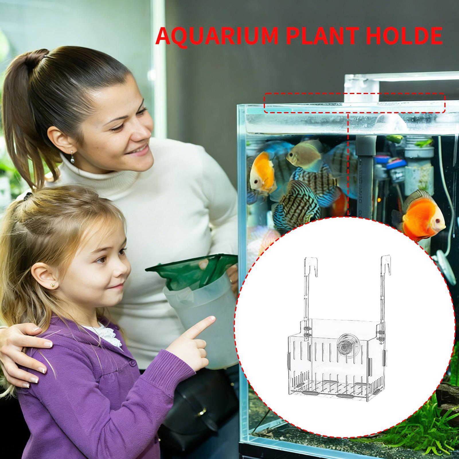 Acrylic Aquarium Plant Holder  - Aquarium Plant Vine recension och pris