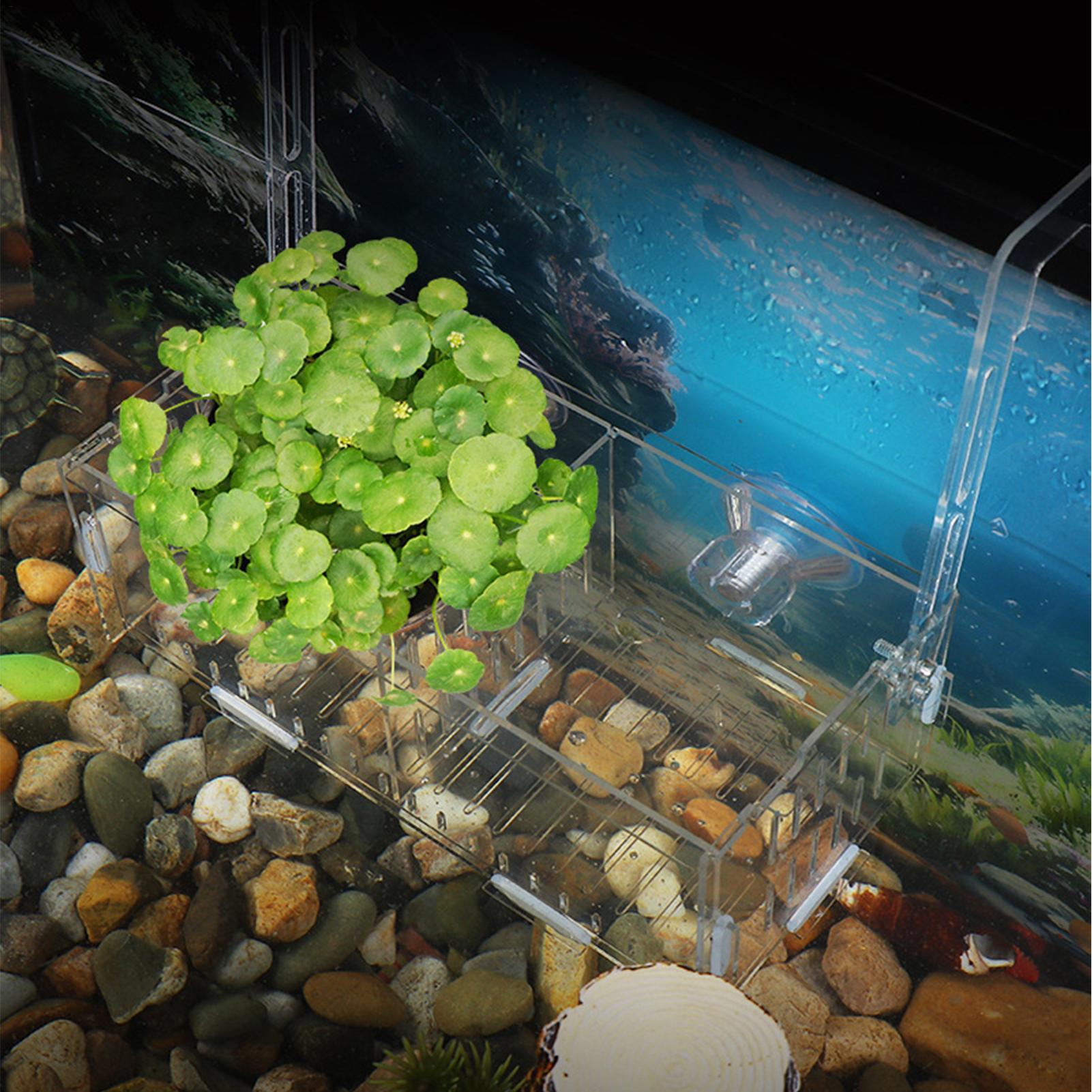 Acrylic Aquarium Plant Holder  - Aquarium Plant Vine recension och pris