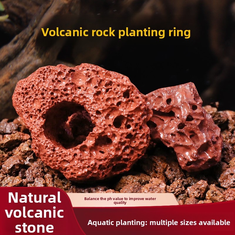 Red Lava Rock Planting Ring –  - Planted Aquarium Carpet Plant recension och pris