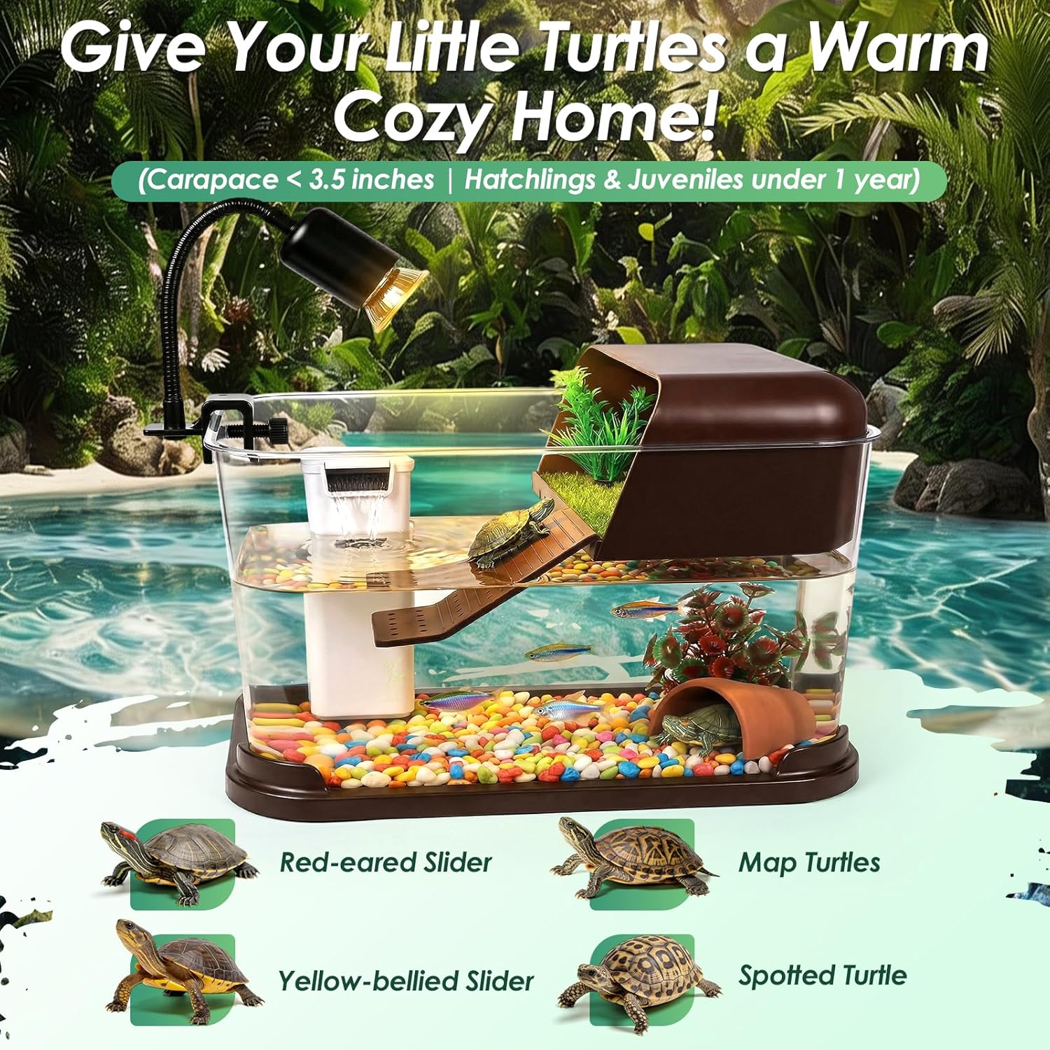 Turtle Tank Starter Kit,PC Tur - Planted Aquarium Starter Kit recension och pris