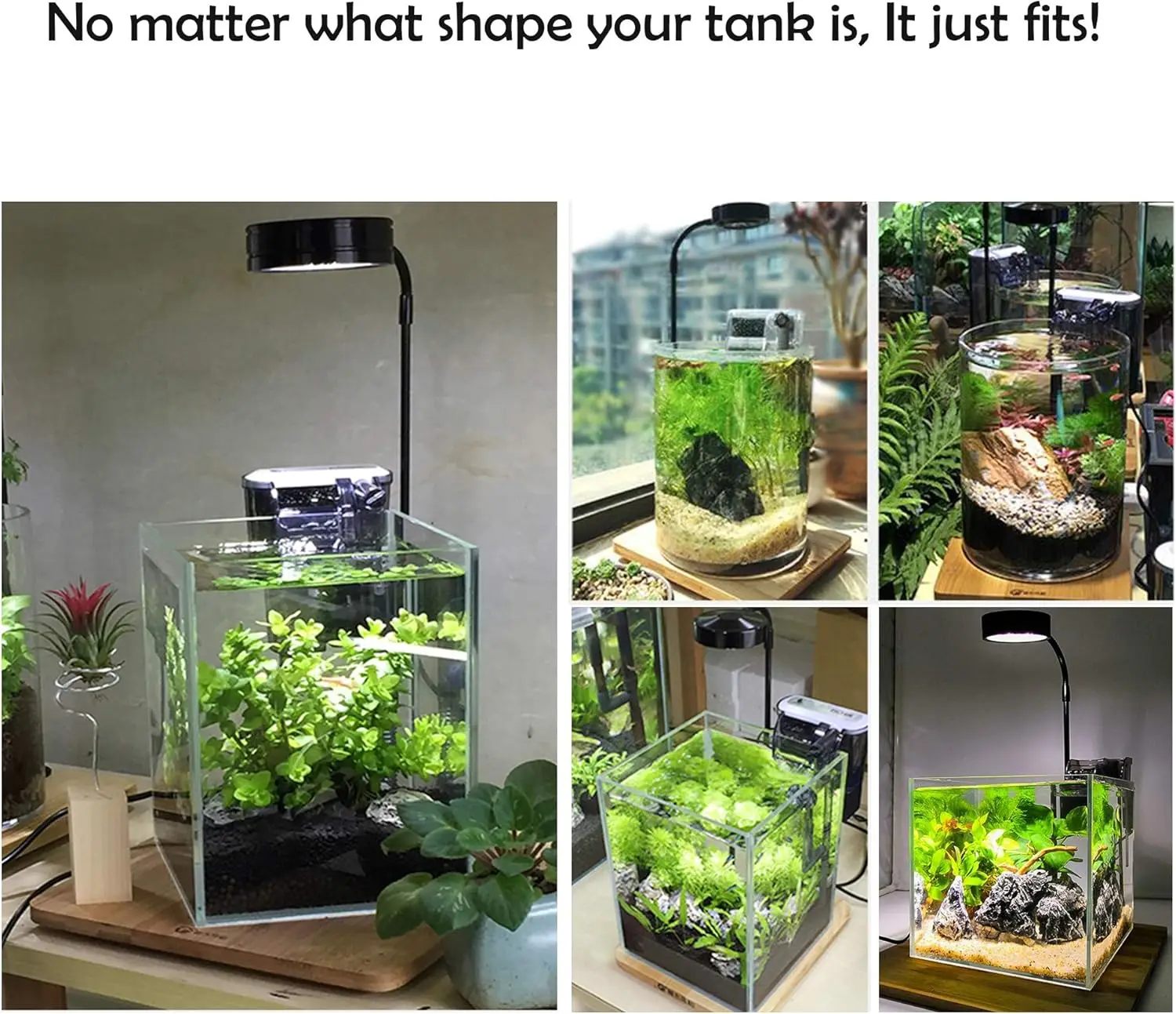 LED Aquarium Grow Light with B - Planted Aquarium For Betta recension och pris