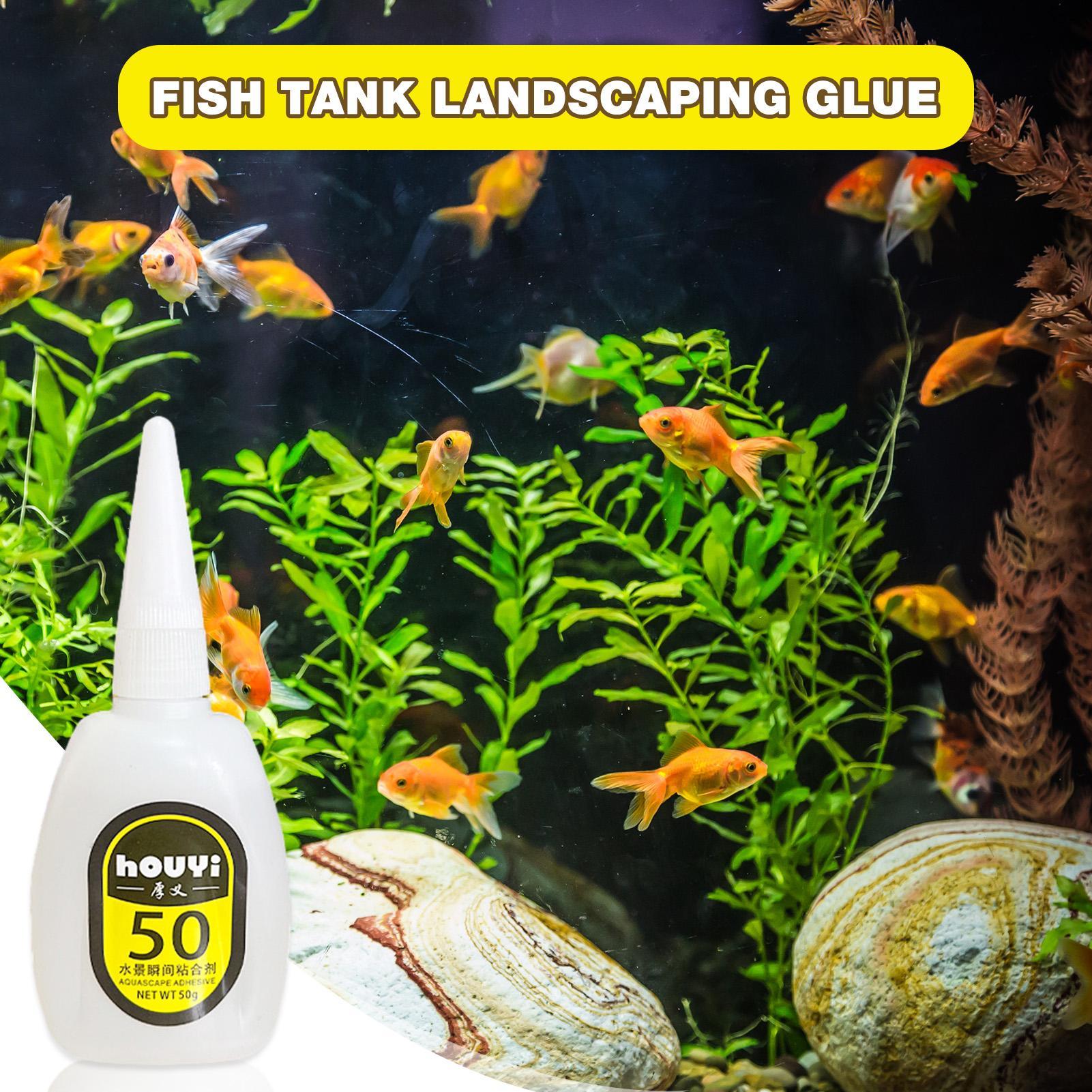50/100g Clear Instant Glue Aqu - Aquarium Planted recension och pris