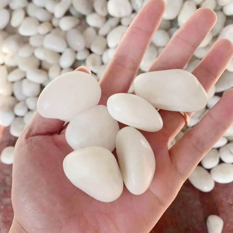 Natural White Polished River R - Aquarium Sand White recension och pris