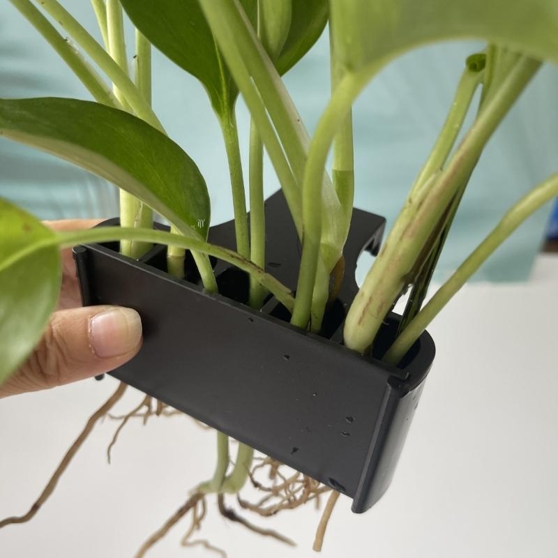 Aquatic Plant Cup Aquatic Plan - Emersed Plants Aquarium recension och pris