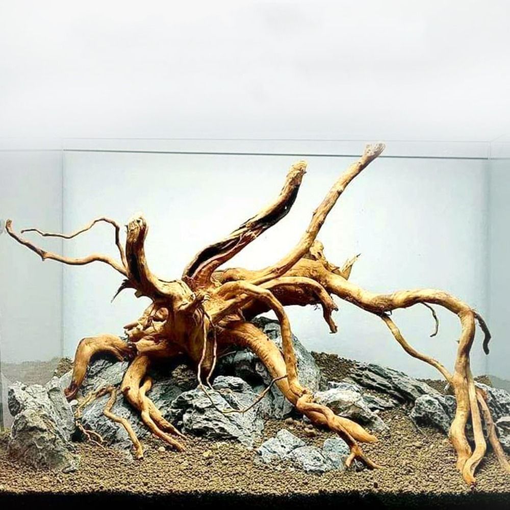 Natural Tree Trunk Aquarium De - Aquarium Plant Root Tabs recension och pris