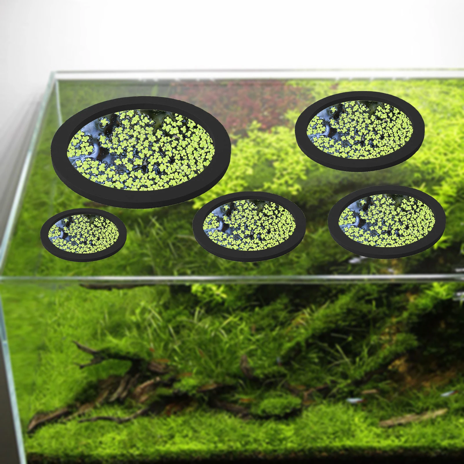 5Pcs EVA Fish Feeding Ring Aqu - Aquarium Plant recension och pris