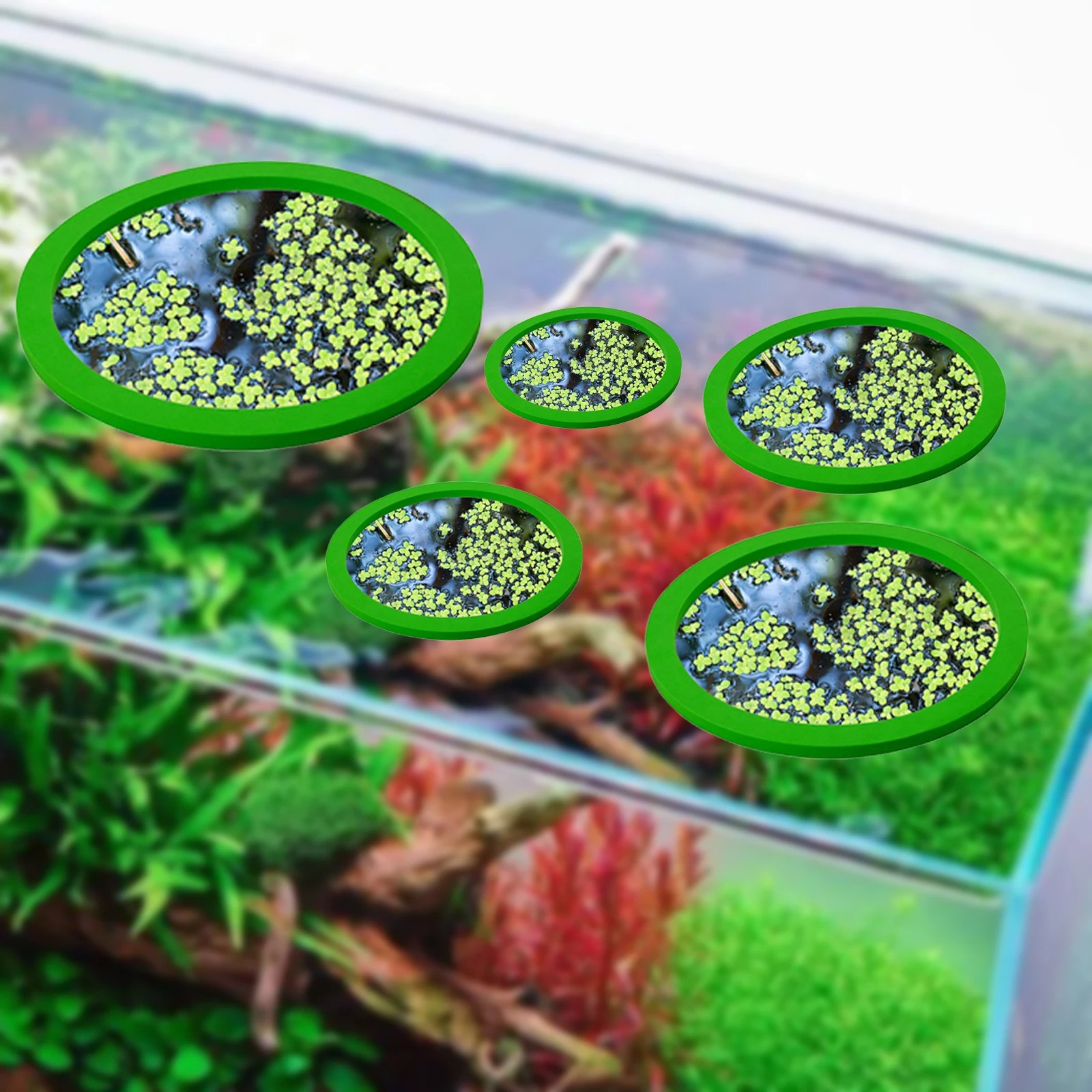 5Pcs EVA Fish Feeding Ring Aqu - Aquarium Plant recension och pris