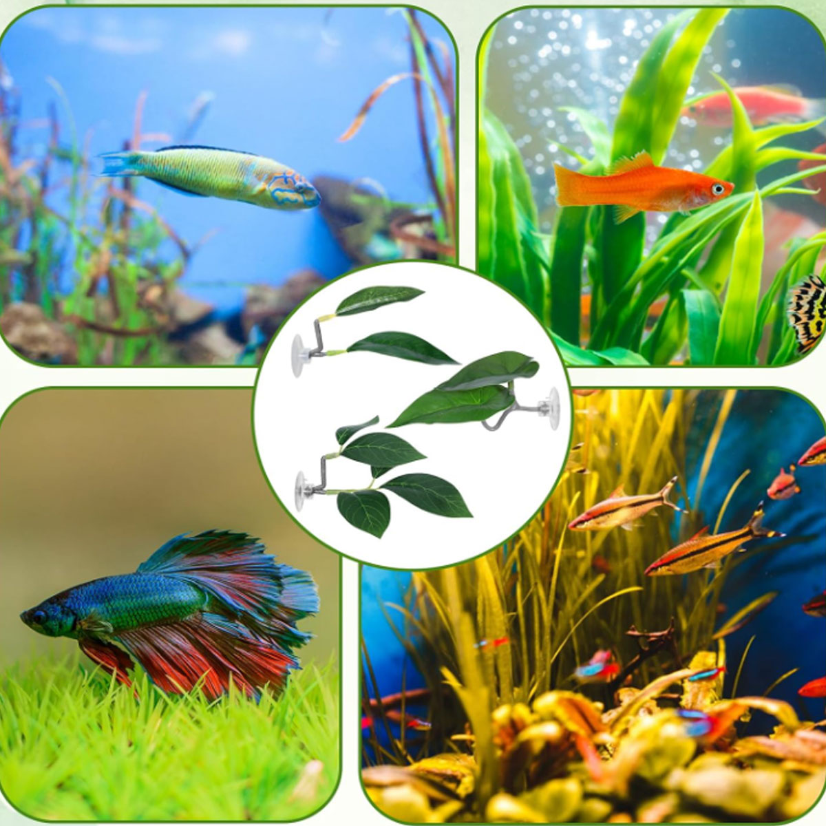 1 PC Betta Fish Hammock Soft A - Planted Aquarium For Betta recension och pris