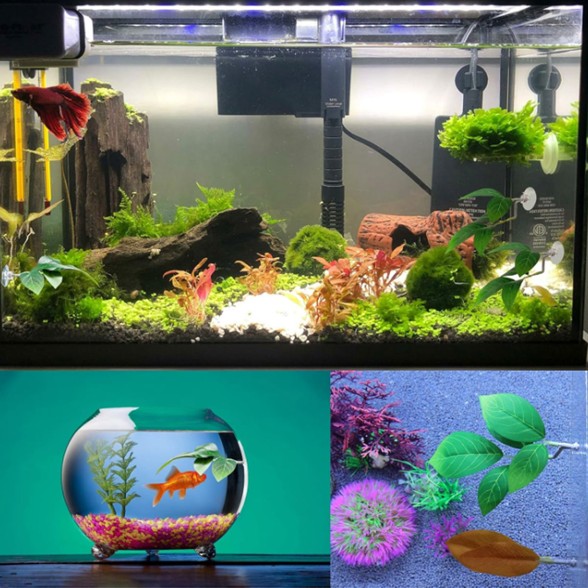 1 PC Betta Fish Hammock Soft A - Planted Aquarium For Betta recension och pris
