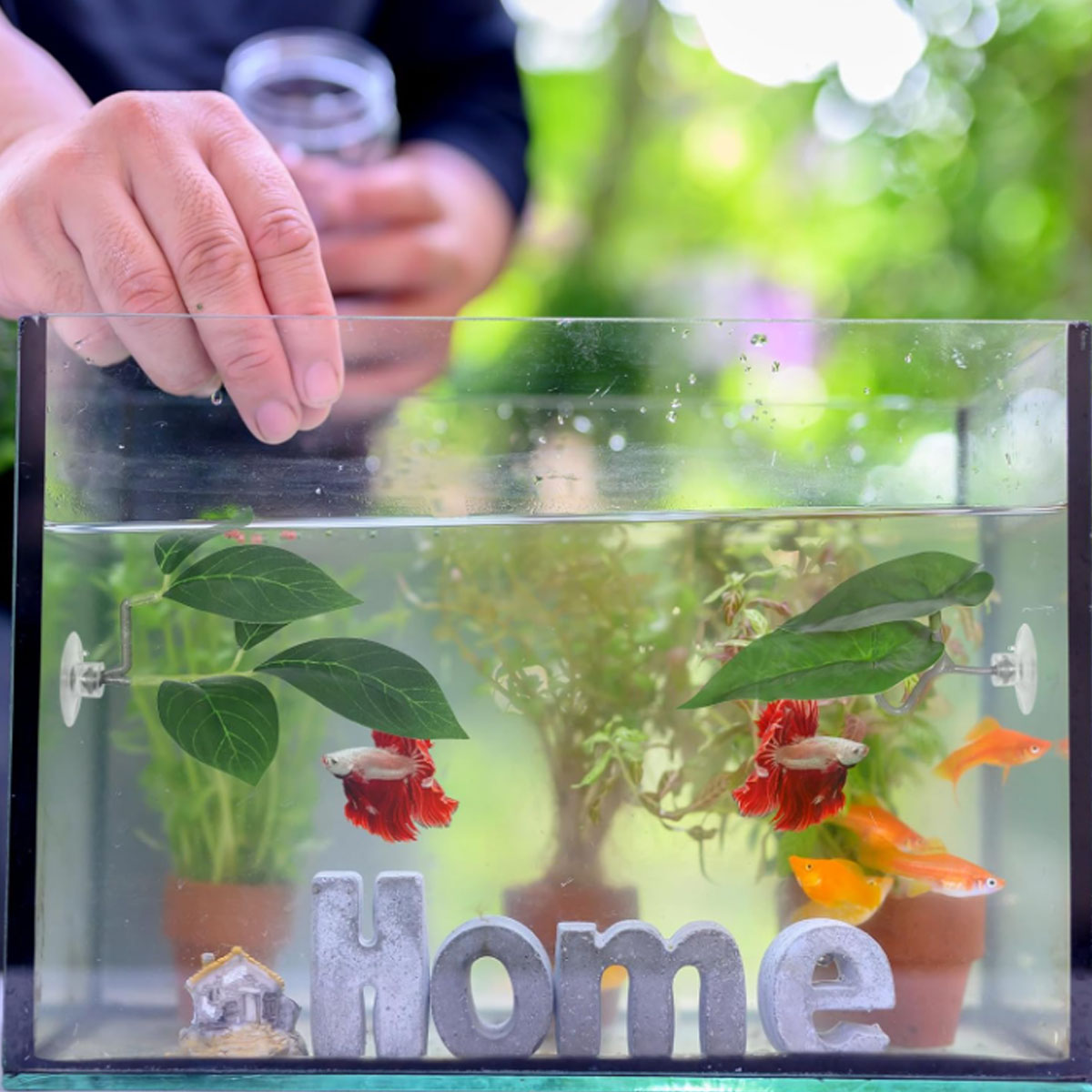 1 PC Betta Fish Hammock Soft A - Planted Aquarium For Betta recension och pris