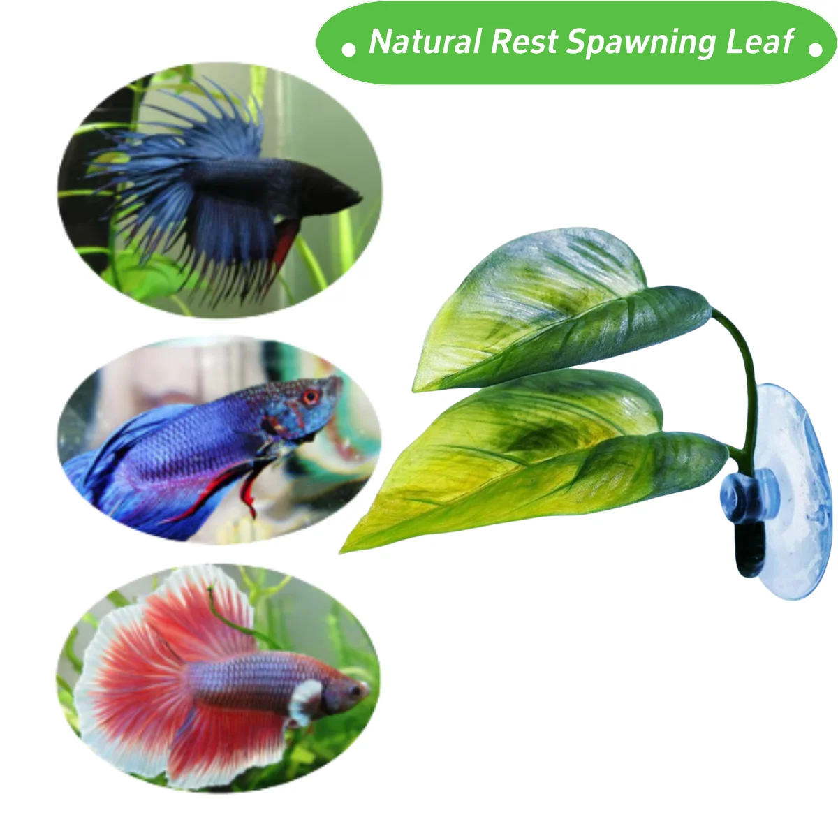 Pets Fish Tank Decor Betta Rel - Planted Aquarium For Betta recension och pris