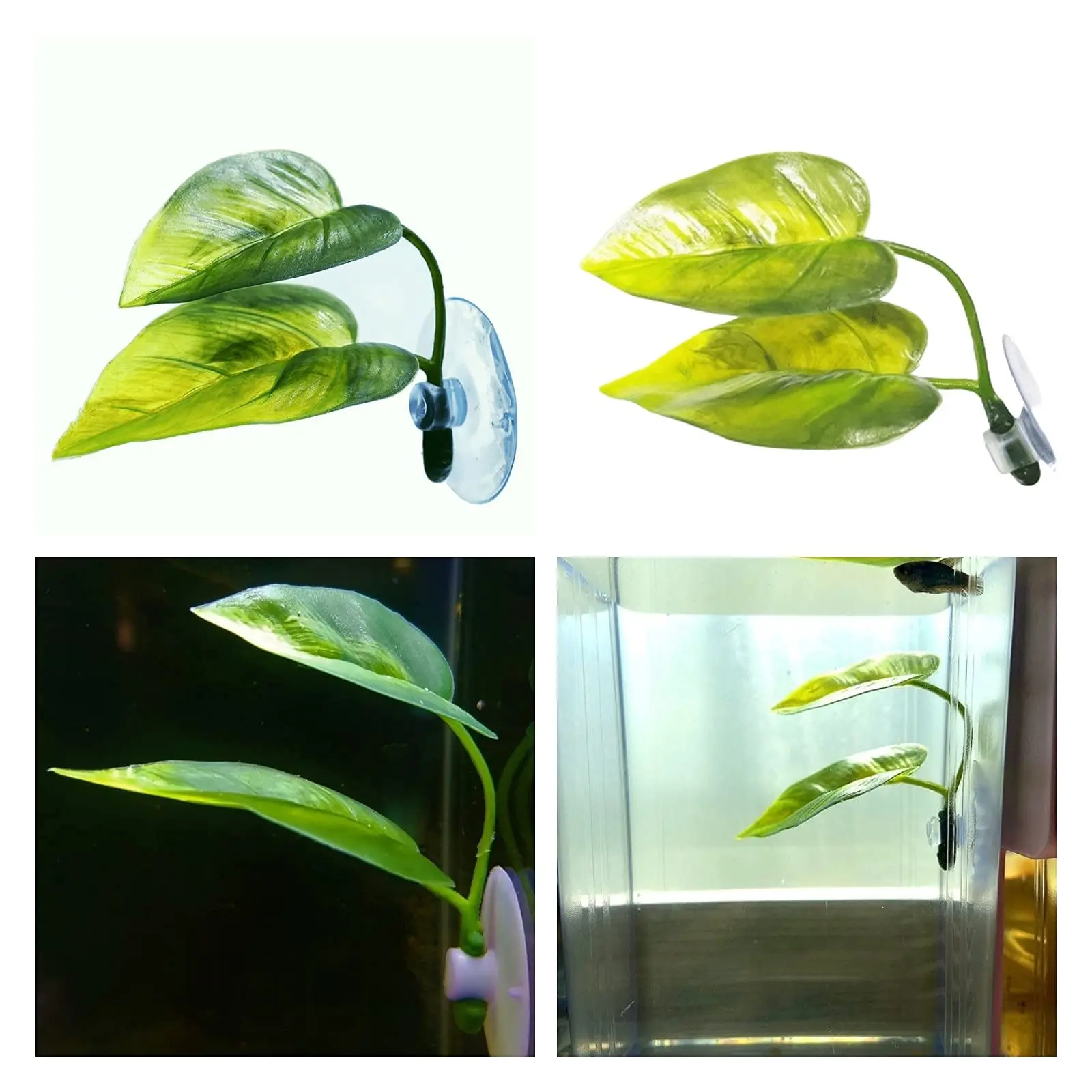 Pets Fish Tank Decor Betta Rel - Planted Aquarium For Betta recension och pris
