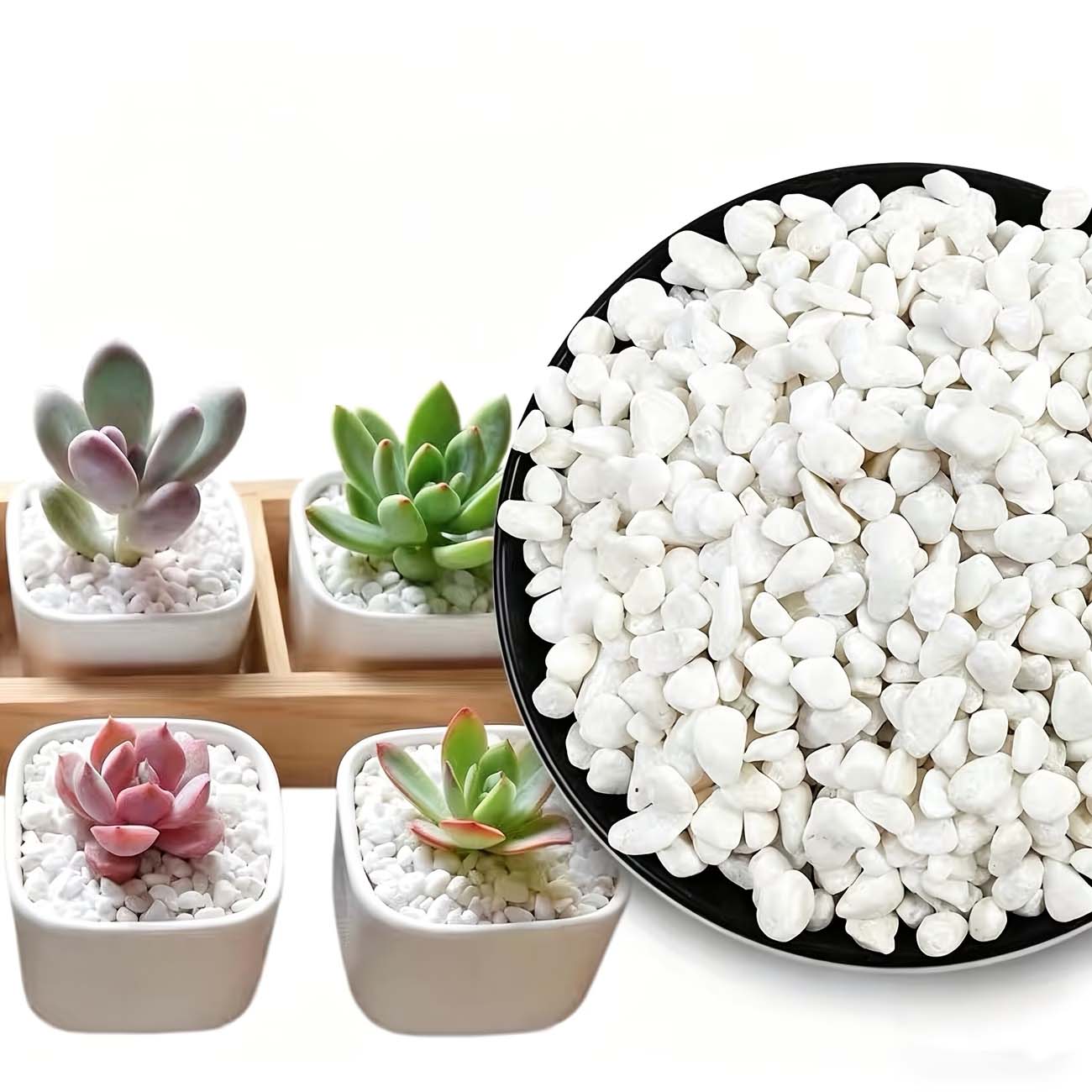 100/200G White Decorative Ston - Aquarium Sand White recension och pris