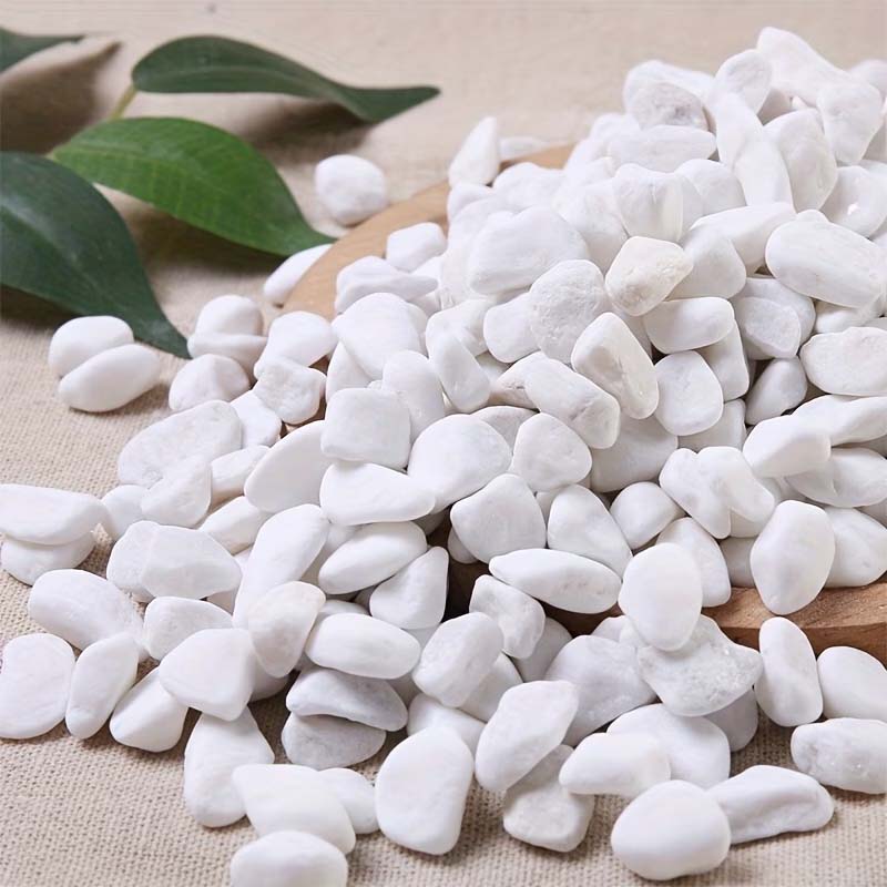 100/200G White Decorative Ston - Aquarium Sand White recension och pris