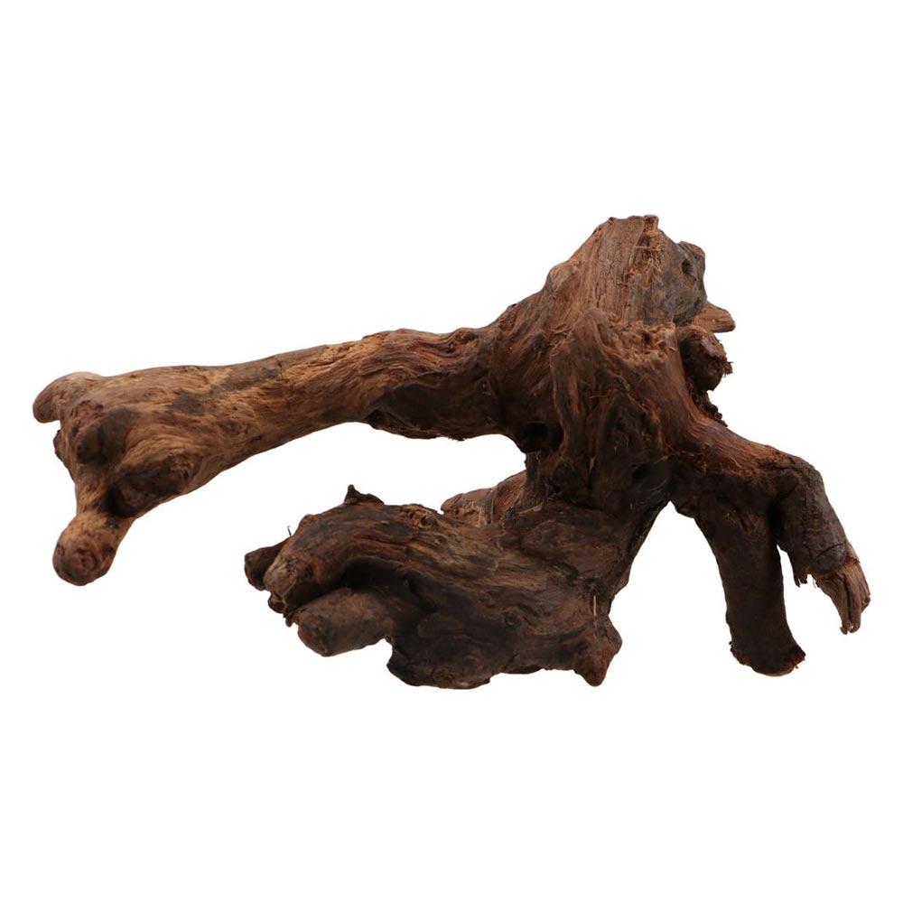 Creative Irregular Shape Coral - Aquarium Plant Root Tabs recension och pris