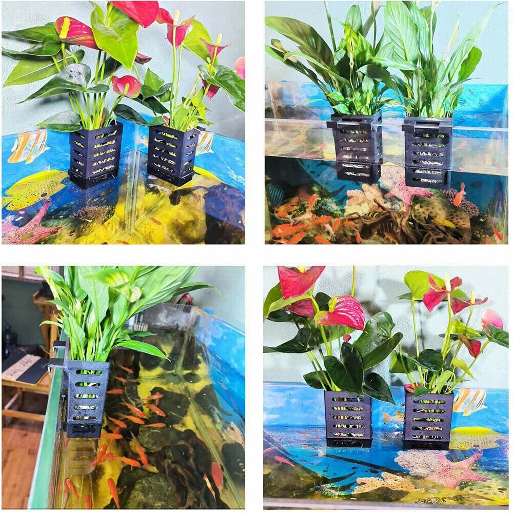 Water Plant Landscape Aquarium - Emersed Plants Aquarium recension och pris
