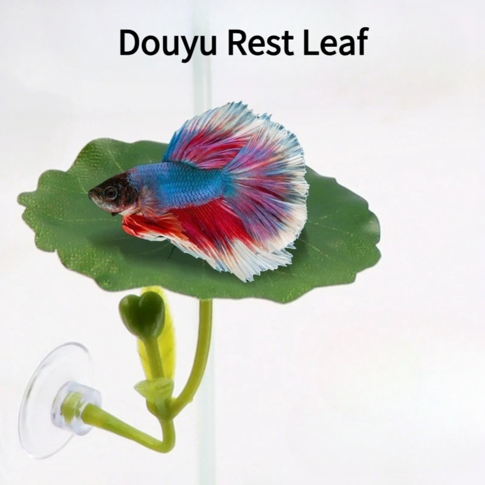 1PCS Green Leaf Betta Fish Ham - Planted Aquarium For Betta recension och pris