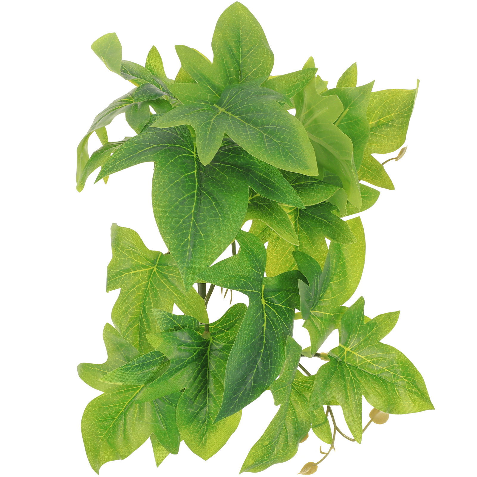 Reptile Terrarium Plant Wall M - Aquarium Plant Vine recension och pris